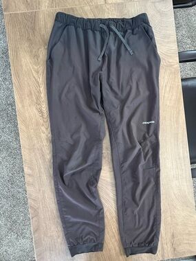 Patagonia Terrebonne Joggers